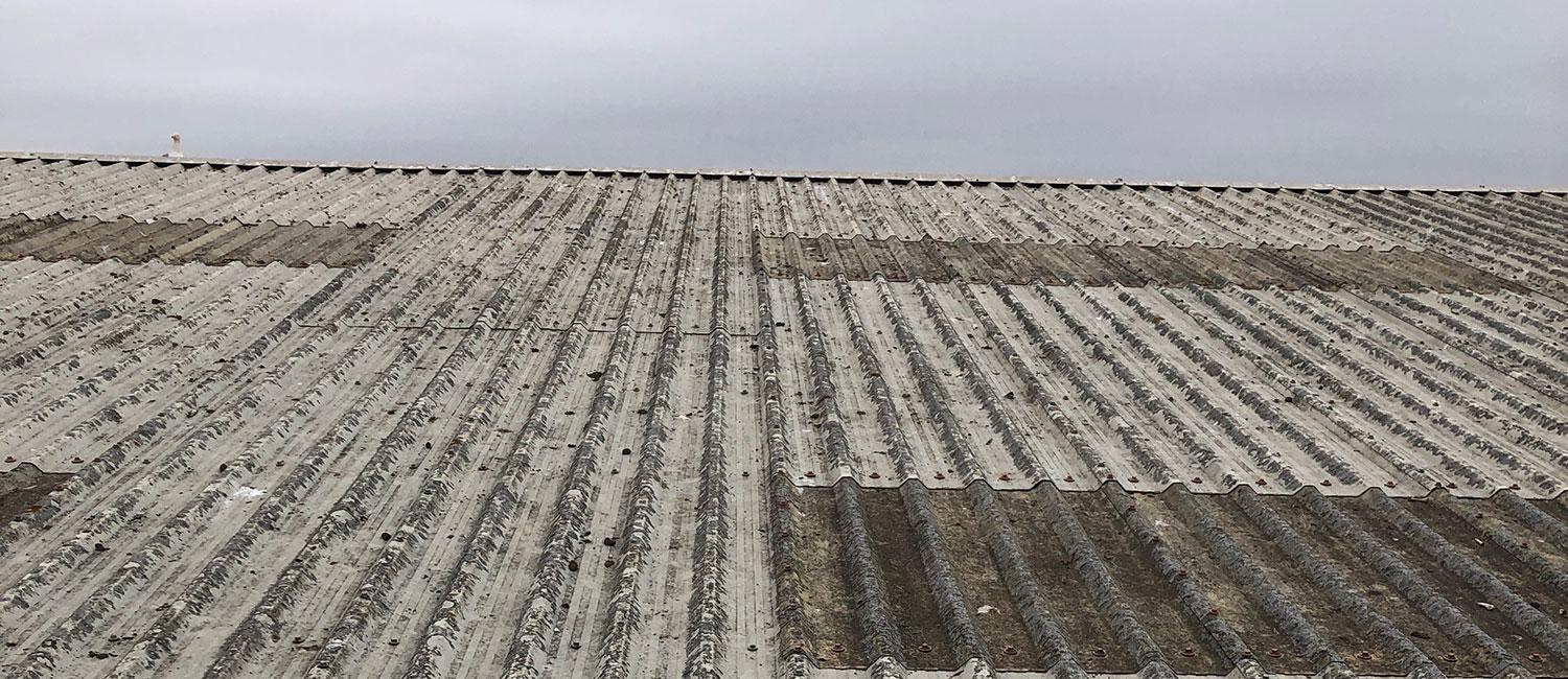 Why Maintaining Roof Systems Protects Businesses