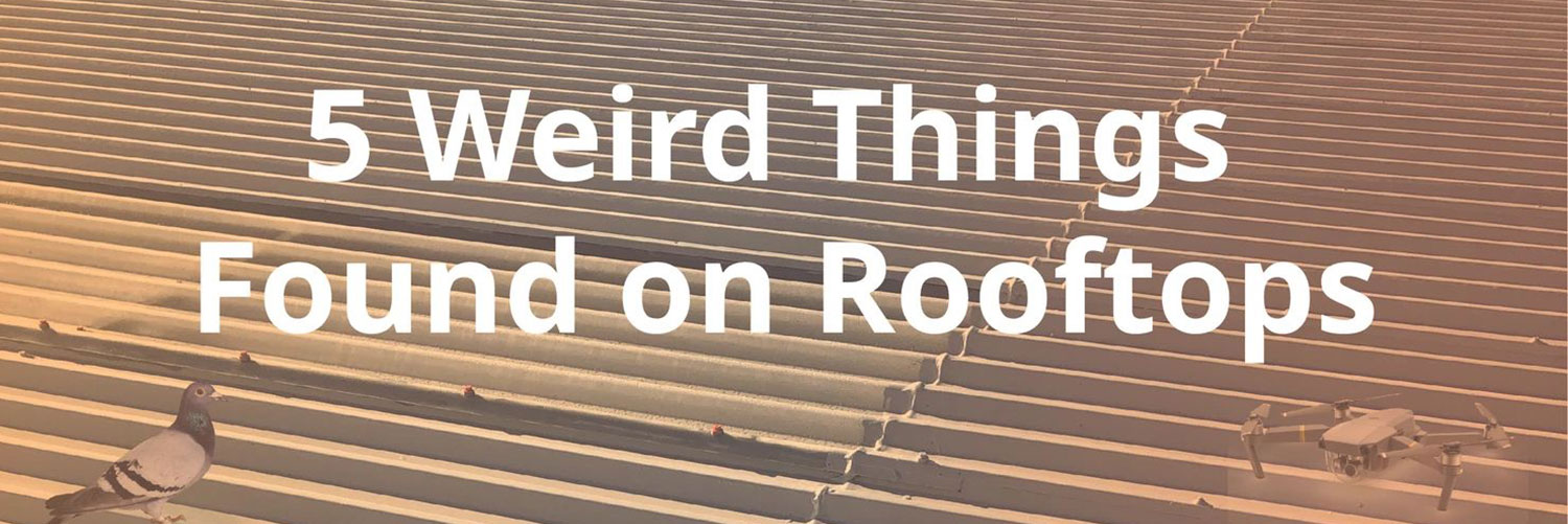 5 Weird Things Found on Rooftops