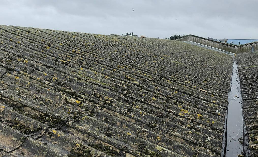 Common Issues Asbestos